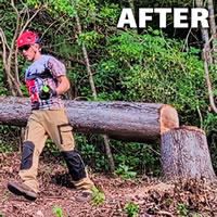 Tree Work