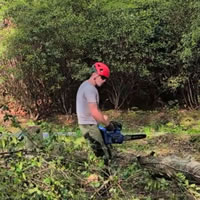 Tree Work